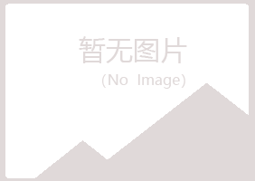 五大连池沙砾能源有限公司